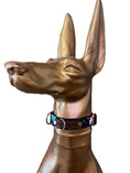 Load image into Gallery viewer, Good Boi Club Space Puppy Lux Collar
