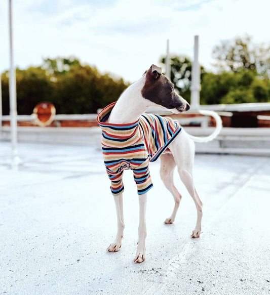 Rainbow Sweater