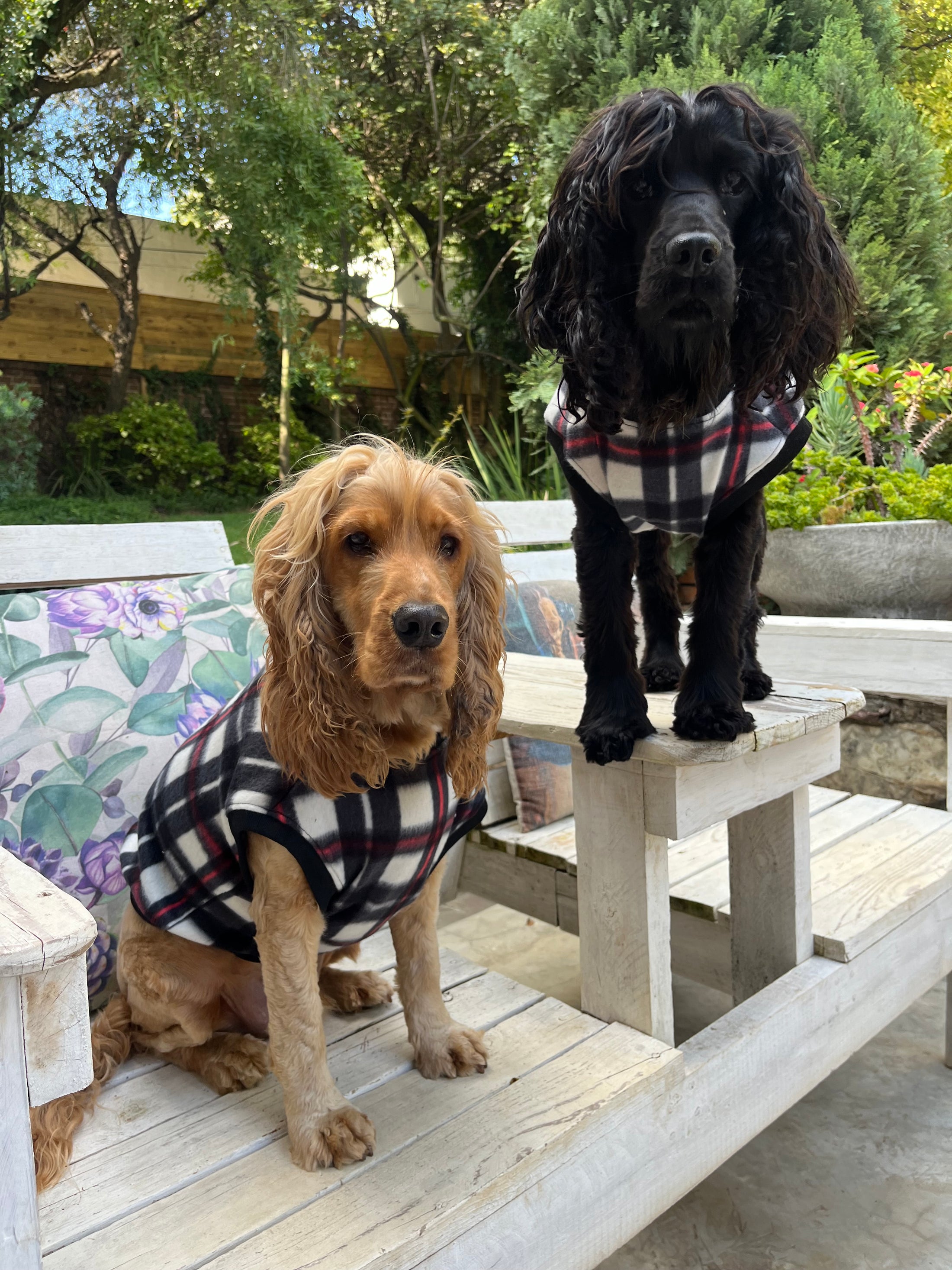 Plaid Pooch Sleeveless Jumper (Black & White)