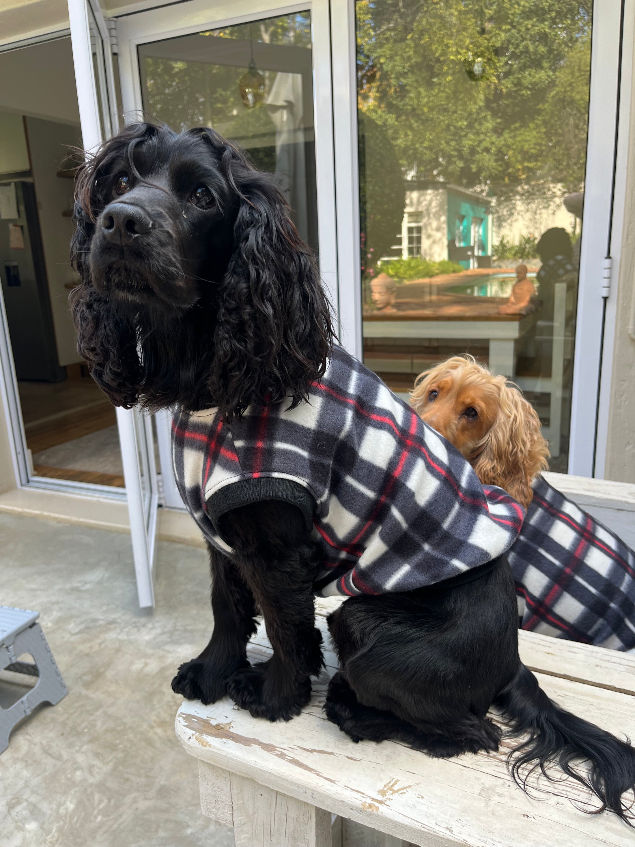 Plaid Pooch Sleeveless Jumper (Black & White)