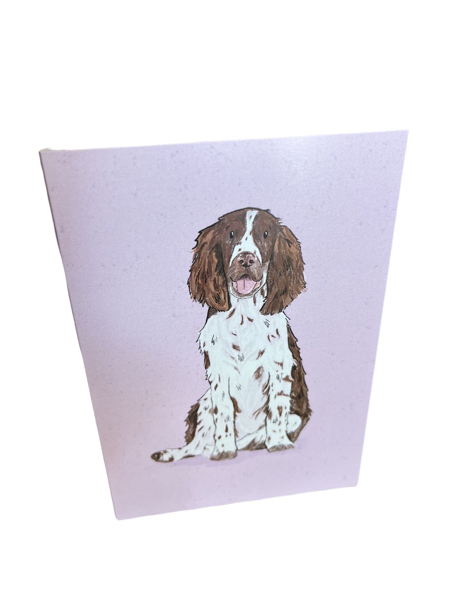 REBECCA POTTERTON CARDS: SPRINGER SPANIEL