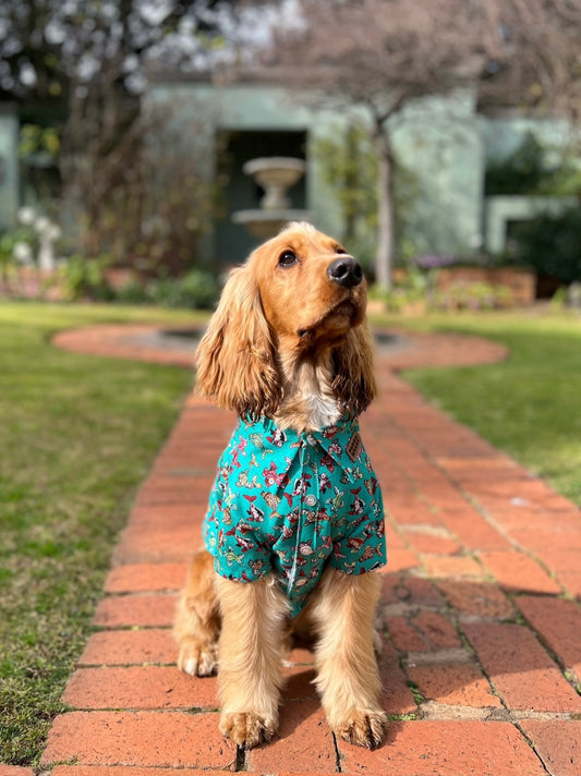 Button-Down Shirt (Teal with Fish Print)