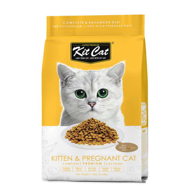 Kit Cat Kitten & Pregnant