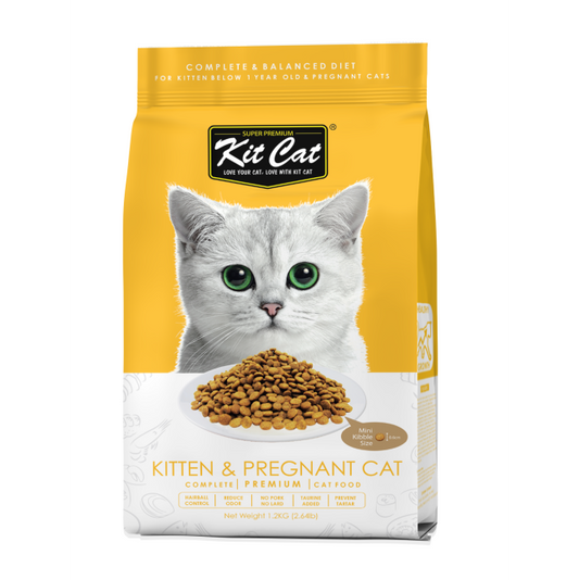 Kit Cat Kitten & Pregnant