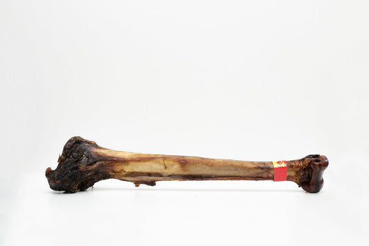 Mini Cave Man Bone