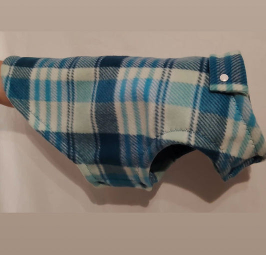 Nat Snoet  Blue Coat