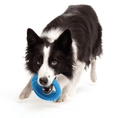Load image into Gallery viewer, Rogz Pop-Upz Fetch Toy (Med/Large) (Blue)
