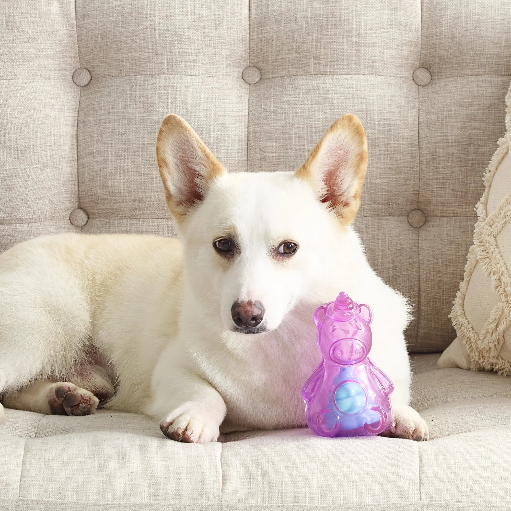 DOG TREAT n SQUEAK UNICORN