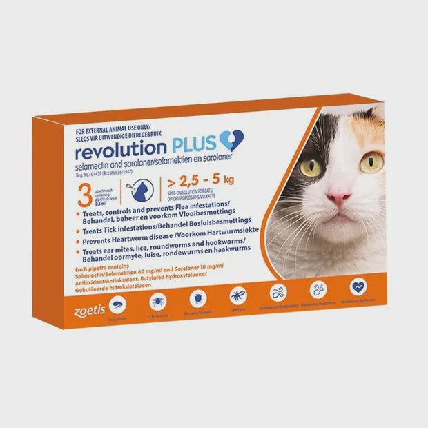 Revolution Plus Spot-on for Cats (pack of 3)