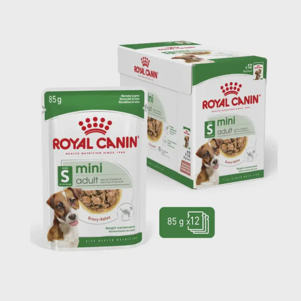 Royal Canin Mini Adult Dog Wet Dog Food Box of 12