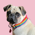 Load image into Gallery viewer, Good Boi Club Rainbow Collar
