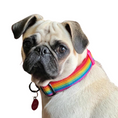 Load image into Gallery viewer, Good Boi Club Rainbow Collar
