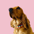 Load image into Gallery viewer, Good Boi Club Rainbow Collar
