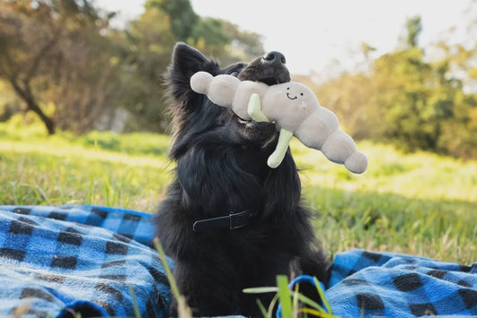 Croissant Dog Plush Toy