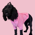 Load image into Gallery viewer, Good Boi Club Candy Floss Hoodie
