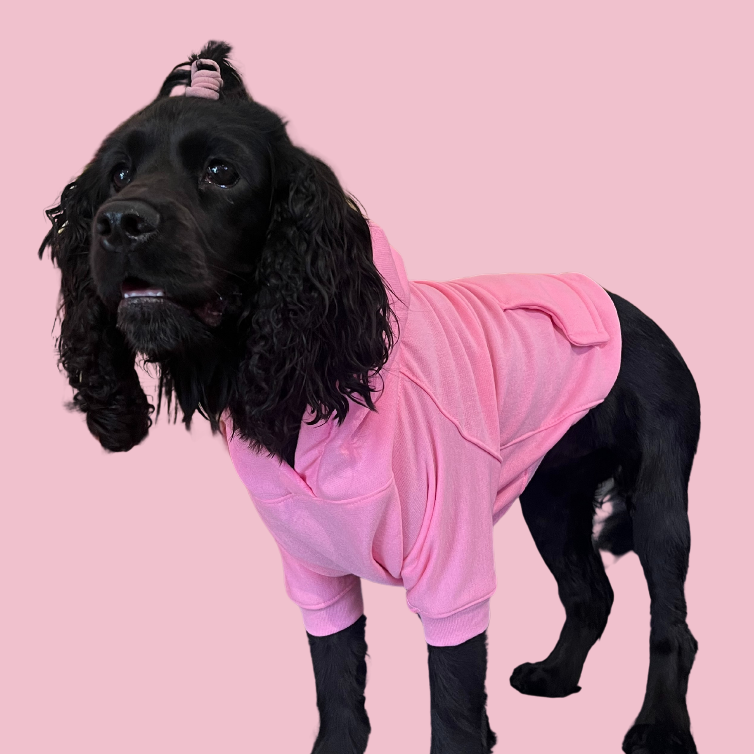 Good Boi Club Candy Floss Hoodie