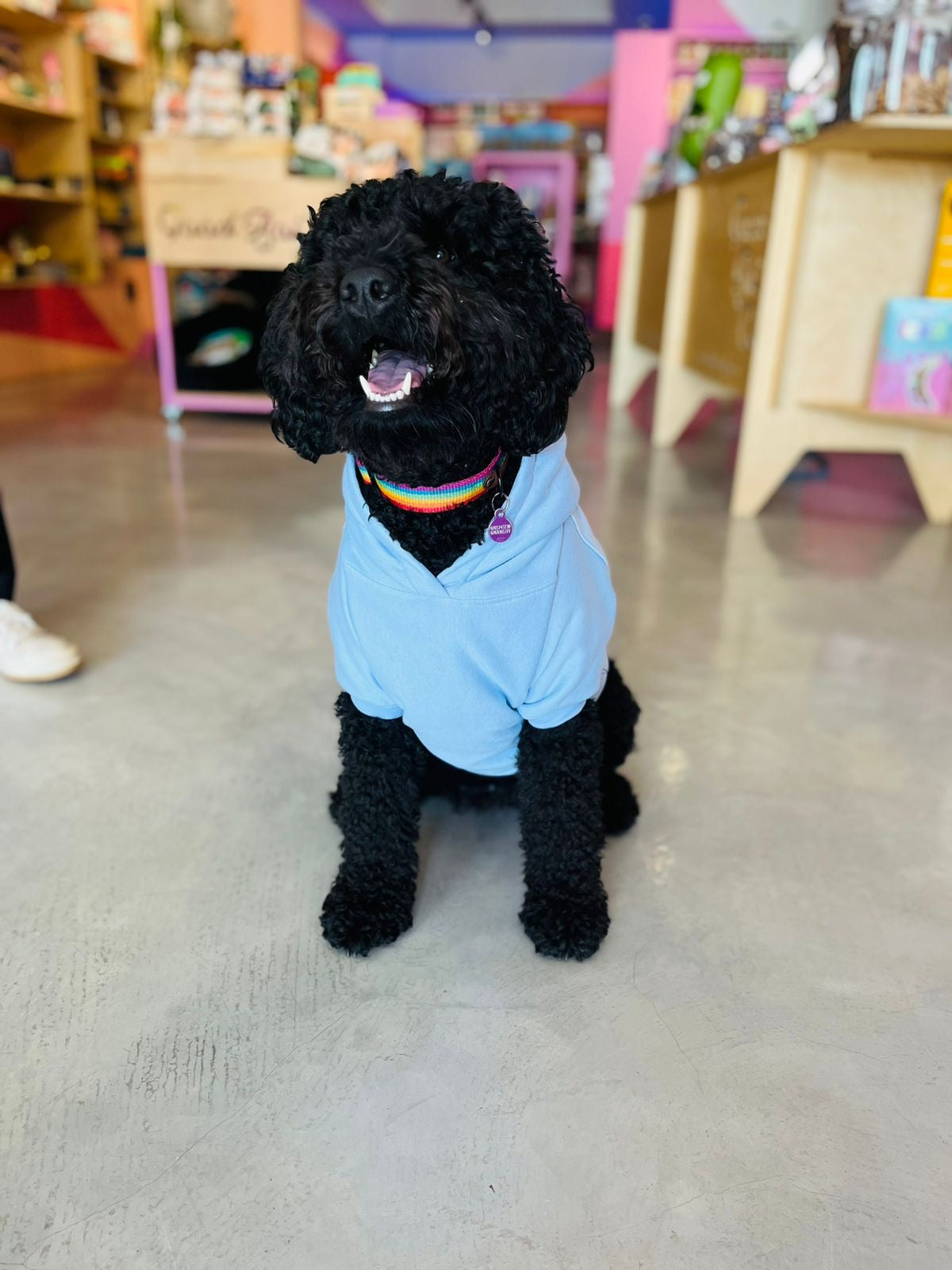 Good Boi Club Baby Blue Hoodie