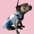 Load image into Gallery viewer, Good Boi Club Blue Coat
