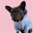 Load image into Gallery viewer, Good Boi Club Baby Blue Hoodie
