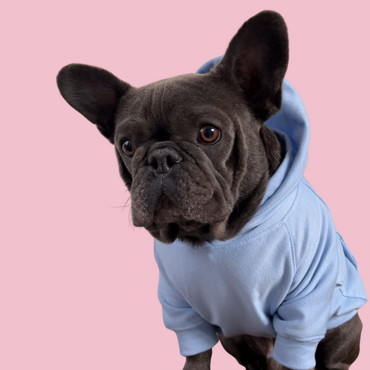 Good Boi Club Baby Blue Hoodie