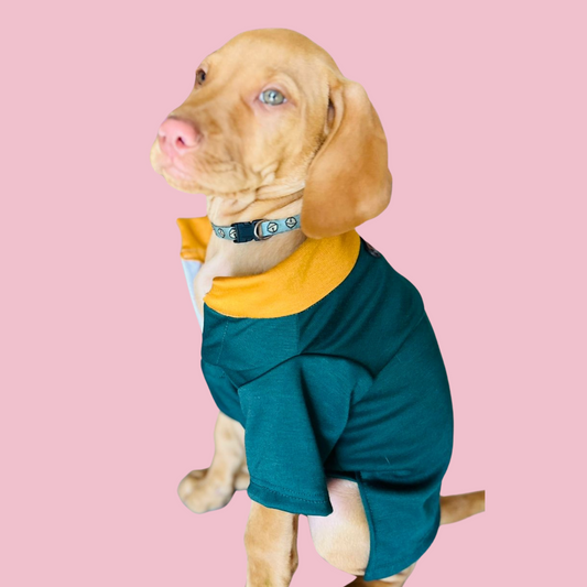 Good Boi Club Bokke Rugby Jersey