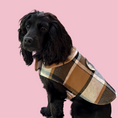 Load image into Gallery viewer, Good Boi Club Brown Coat
