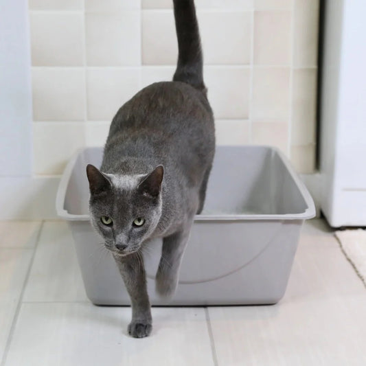 Petmate Large Basic Litter Box