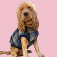 Load image into Gallery viewer, Plaid Pooch Sleeveless Jumper (Navy)
