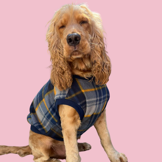 Plaid Pooch Sleeveless Jumper (Navy)