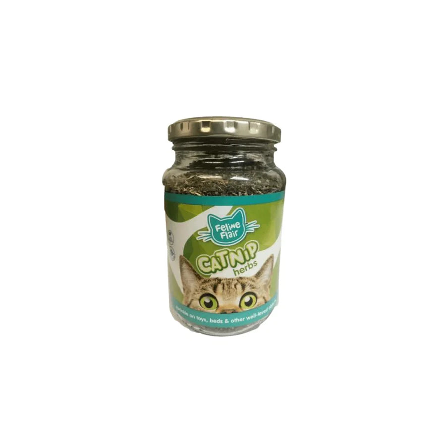 CATNIP HERBS GLASS JAR