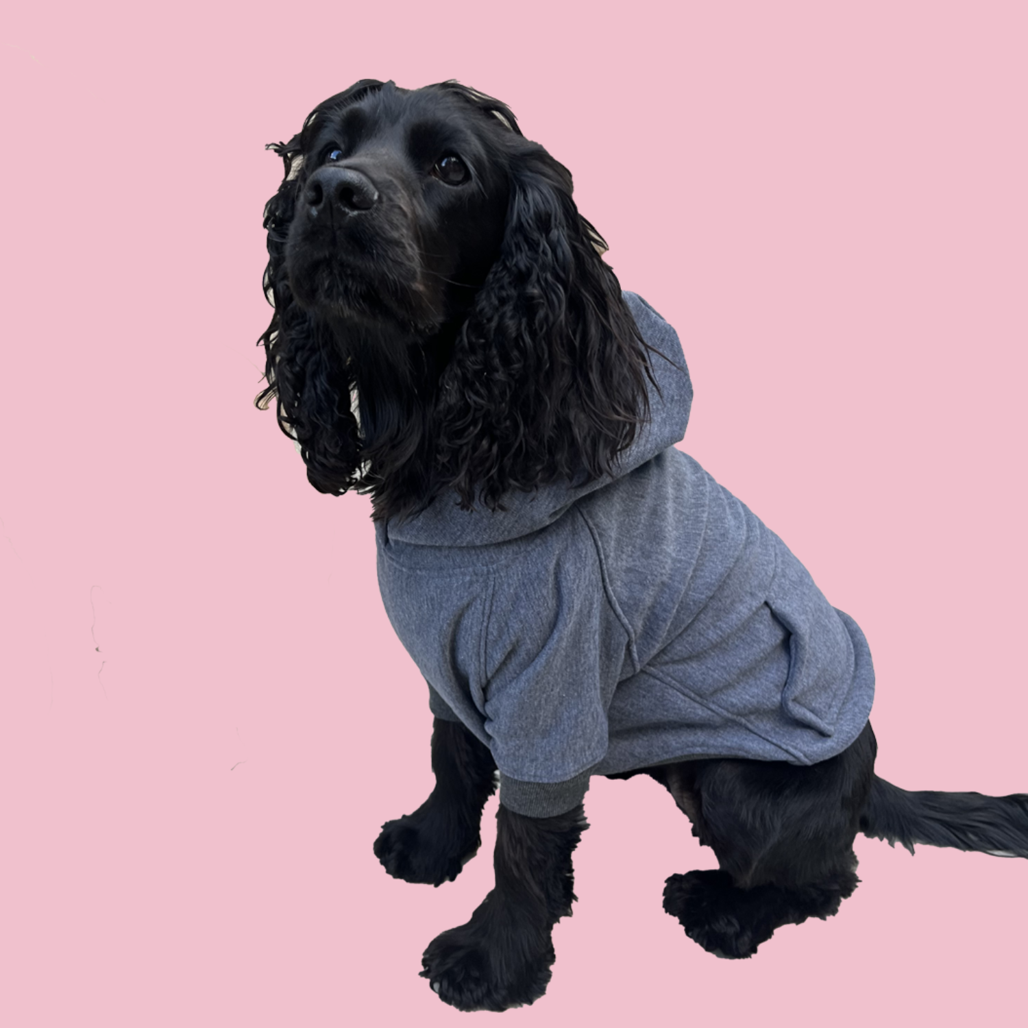 Good Boi Club Grey Hoodie