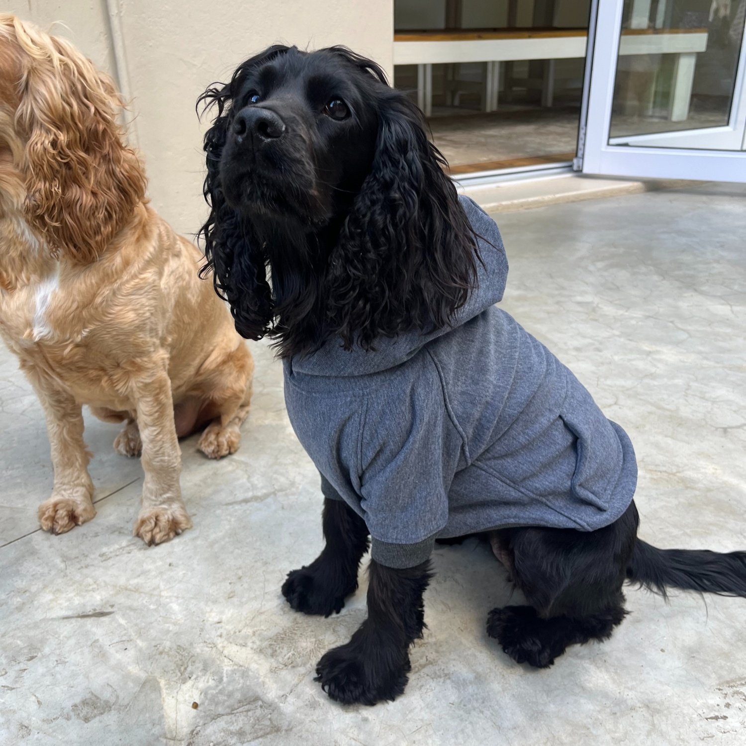 Good Boi Club Grey Hoodie