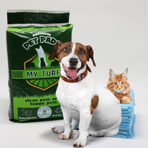 Premium Pet Pads 60cm x 60cm – 30pcs