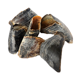 Pets Elite Ox Hoof