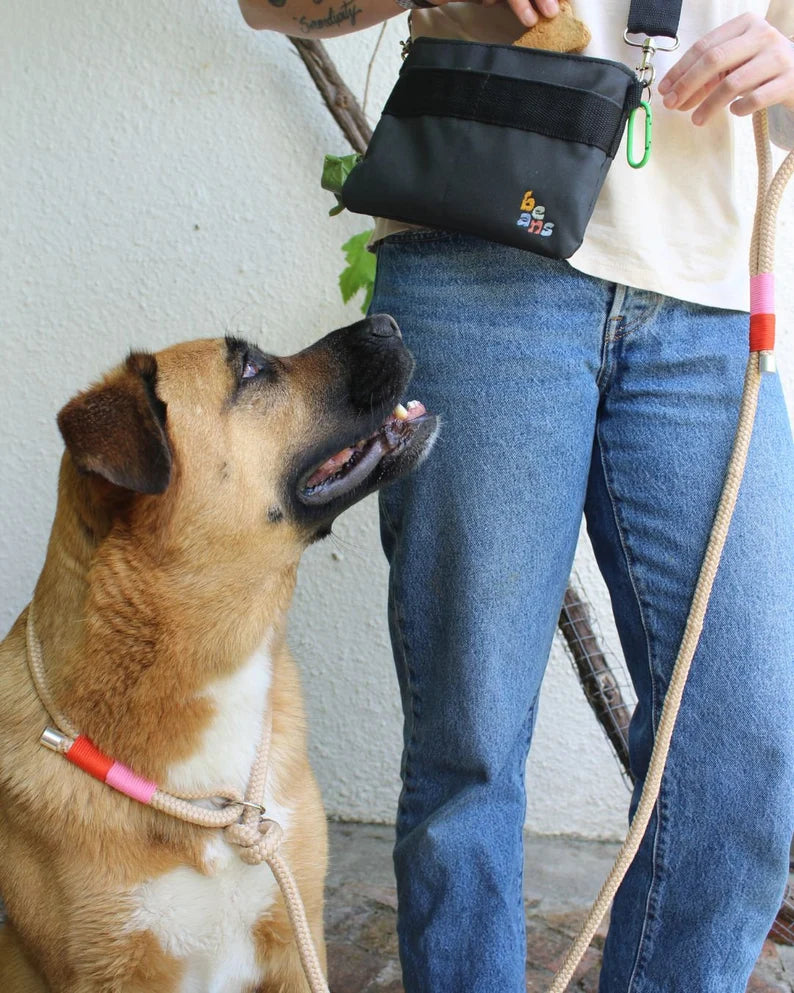 Beans Multi Purpose Treatbag