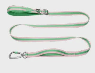 Vertex Dog Leash Salt-Lake