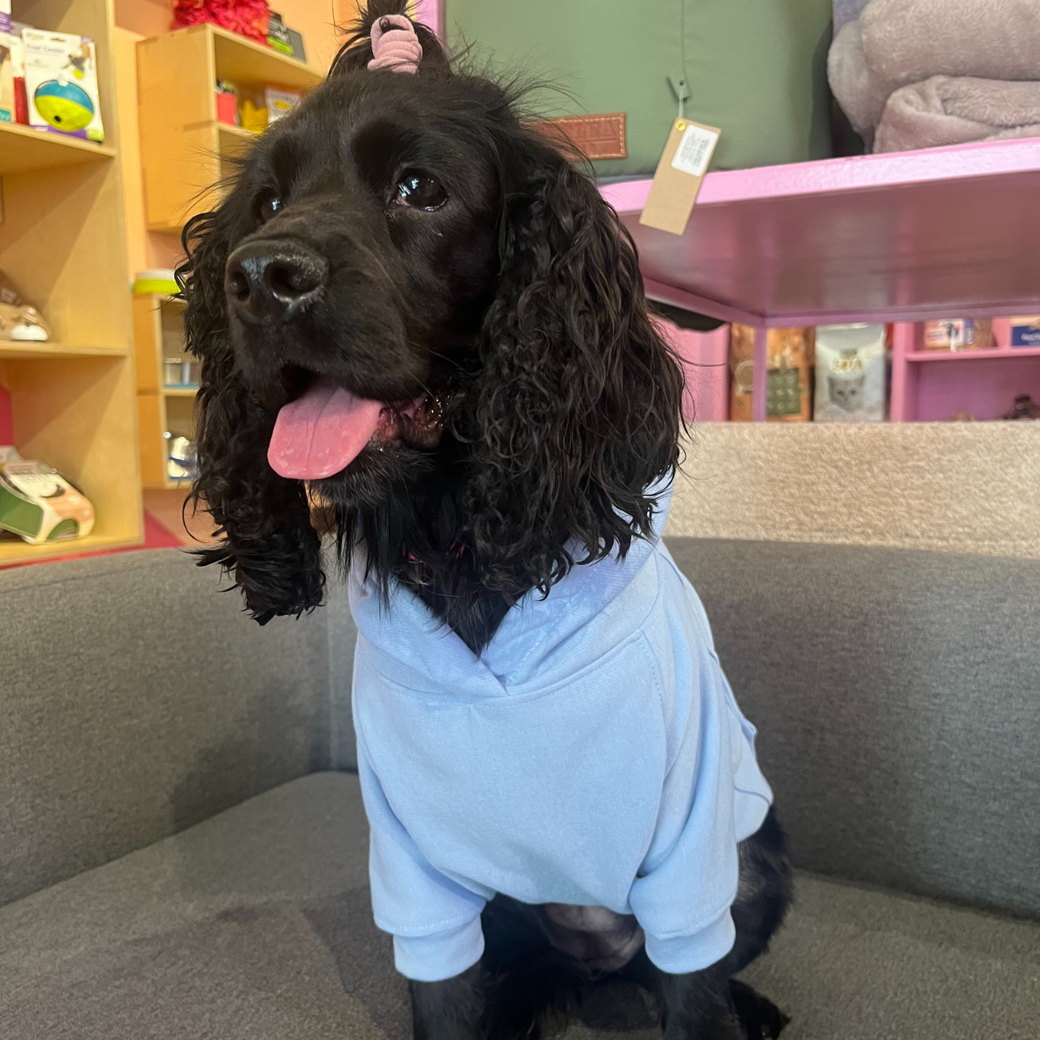 Good Boi Club Baby Blue Hoodie