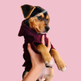 Load image into Gallery viewer, Good Boi Club Maroon Hoodie
