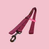 Good Boi Club Lead (Navy/ Maroon/Pink)