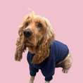 Load image into Gallery viewer, Good Boi Club Navy Blue Sweater
