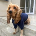 Load image into Gallery viewer, Good Boi Club Navy Blue Sweater
