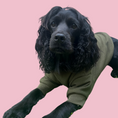 Load image into Gallery viewer, Good Boi Club Olive Green Sweater
