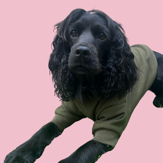 Good Boi Club Olive Green Sweater