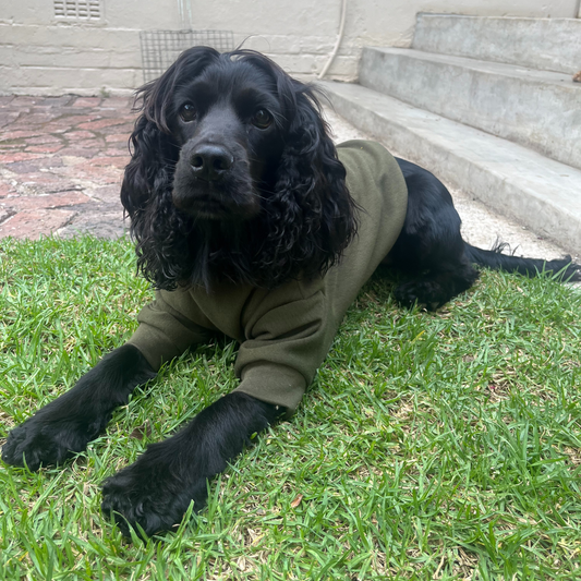 Good Boi Club Olive Green Sweater