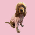 Load image into Gallery viewer, Good Boi Club Peach Cozy Canine Sweater
