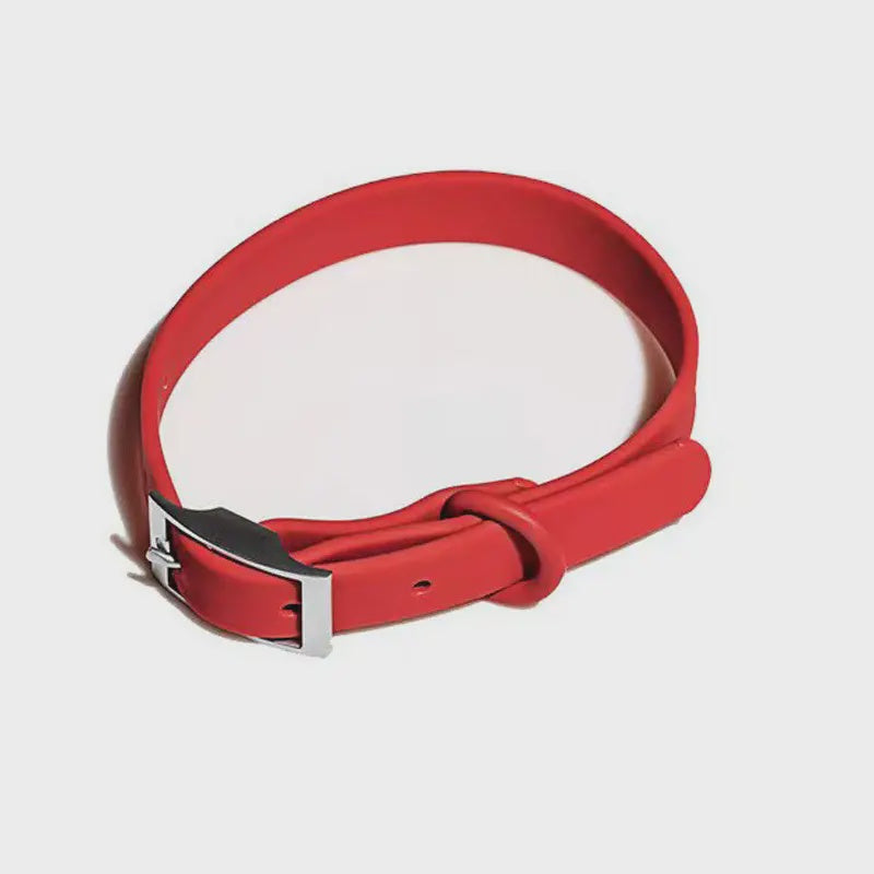 Pet Haus Biothane Collar Red