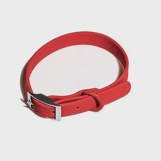 Pet Haus Biothane Collar Red