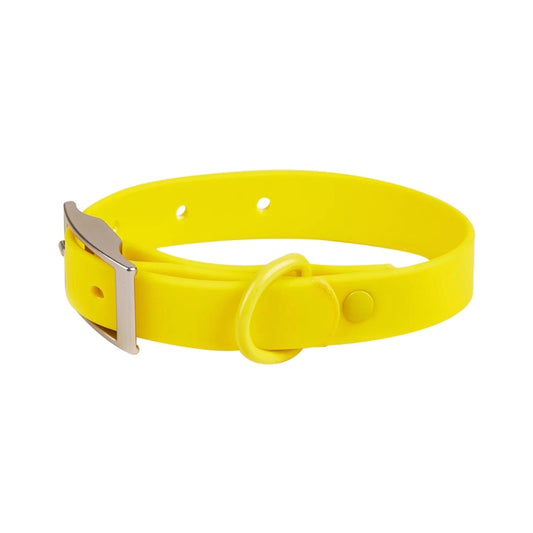 Pet Haus Biothane  Collar Yellow