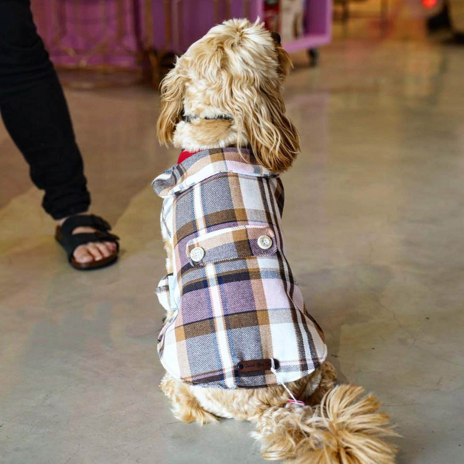 Good Boi Club Pink Coat