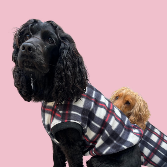 Plaid Pooch Sleeveless Jumper (Black & White)